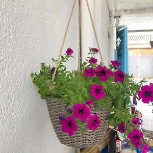 Le Janas Frühstückspension Càbras